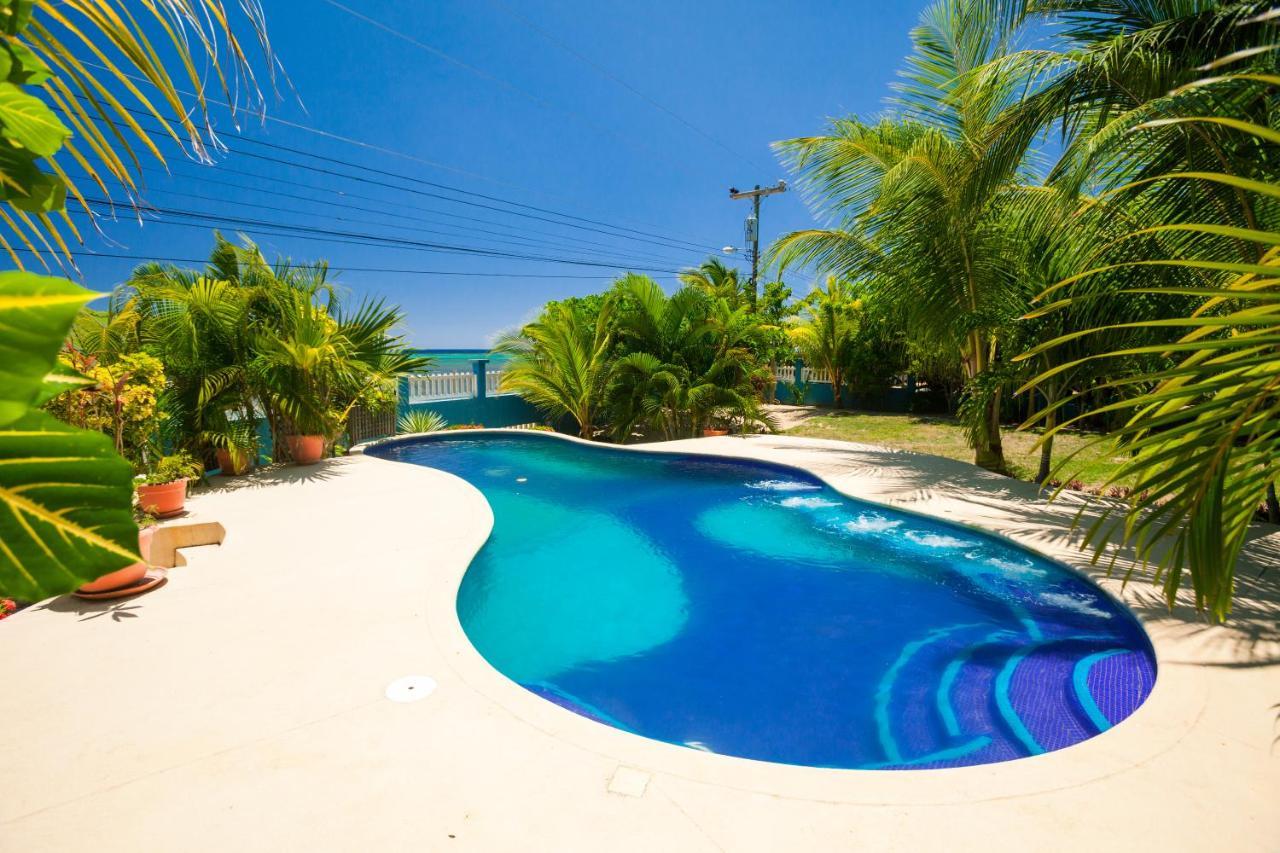 Sand Dollar Bungalow Sandy Bay Exterior foto